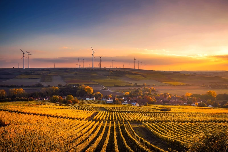 Quina és la diferència entre energia verda i energia renovable?